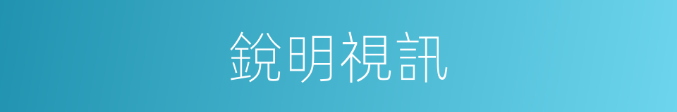 銳明視訊的同義詞