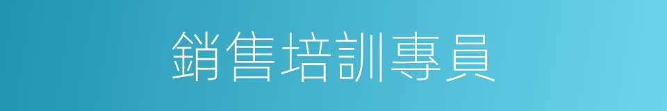 銷售培訓專員的同義詞