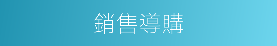 銷售導購的同義詞