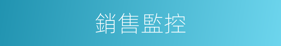 銷售監控的同義詞