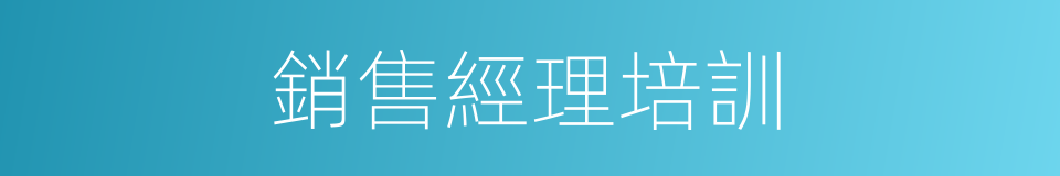 銷售經理培訓的同義詞