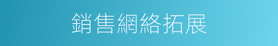 銷售網絡拓展的同義詞
