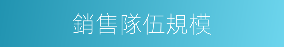 銷售隊伍規模的同義詞