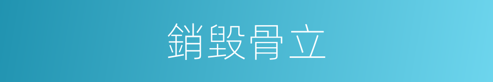 銷毀骨立的意思