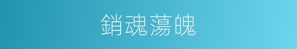銷魂蕩魄的意思