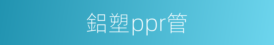 鋁塑ppr管的同義詞