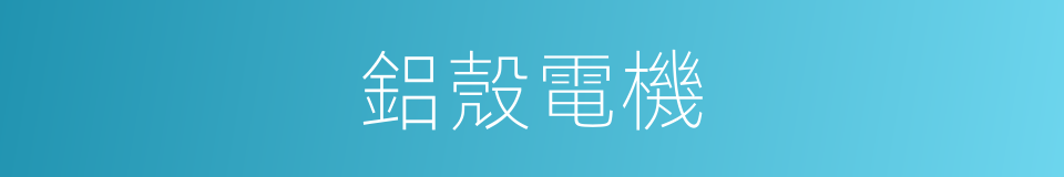 鋁殼電機的同義詞