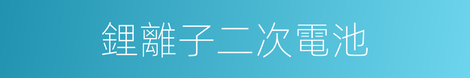 鋰離子二次電池的同義詞