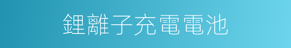 鋰離子充電電池的同義詞