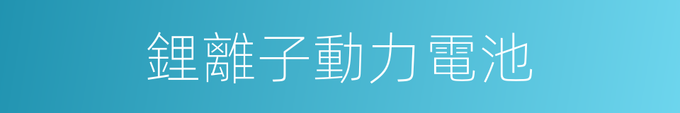 鋰離子動力電池的同義詞