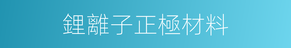 鋰離子正極材料的同義詞