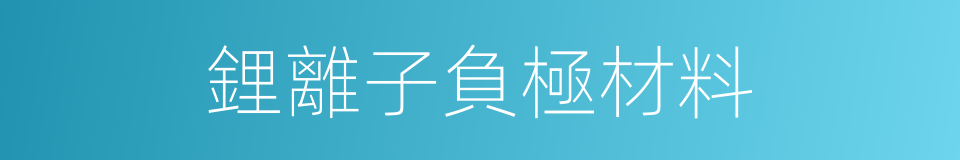 鋰離子負極材料的同義詞