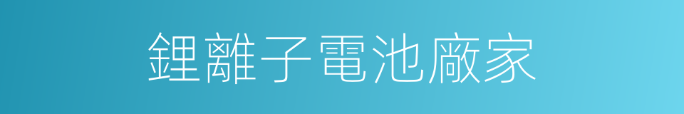 鋰離子電池廠家的同義詞