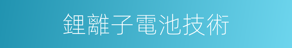 鋰離子電池技術的同義詞