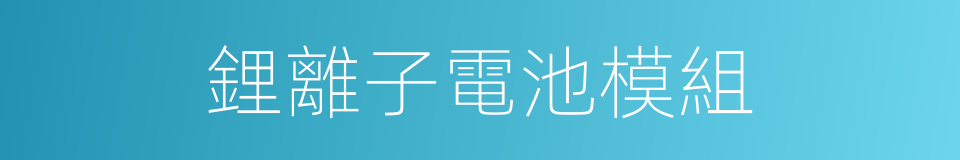 鋰離子電池模組的同義詞