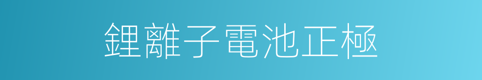 鋰離子電池正極的同義詞