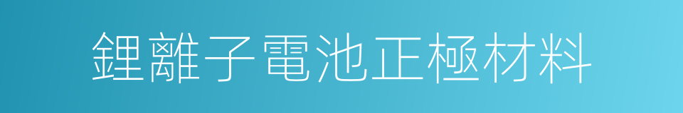 鋰離子電池正極材料的同義詞