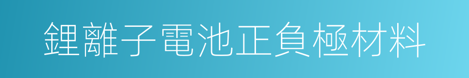 鋰離子電池正負極材料的同義詞