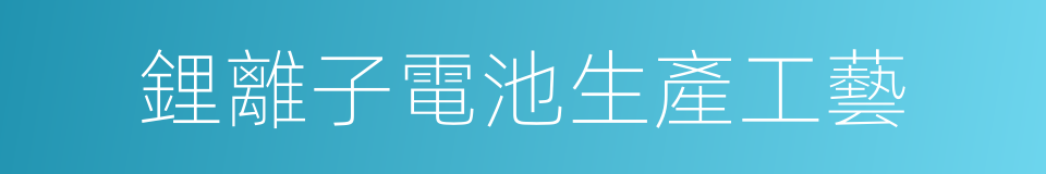 鋰離子電池生產工藝的同義詞