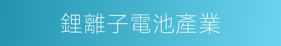 鋰離子電池產業的同義詞