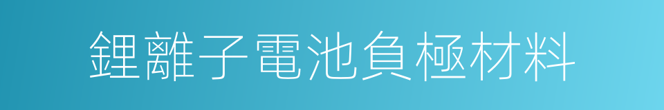 鋰離子電池負極材料的同義詞