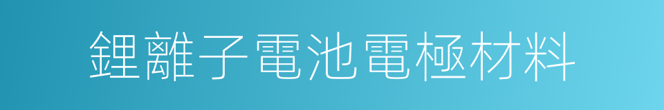 鋰離子電池電極材料的同義詞