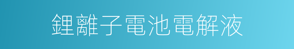 鋰離子電池電解液的同義詞