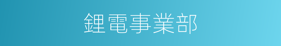 鋰電事業部的同義詞