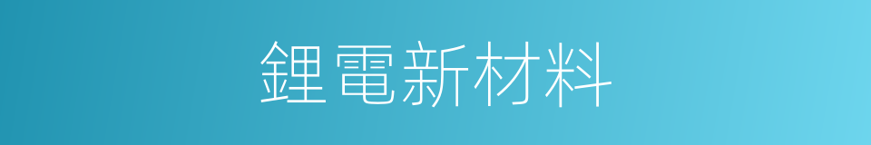 鋰電新材料的同義詞