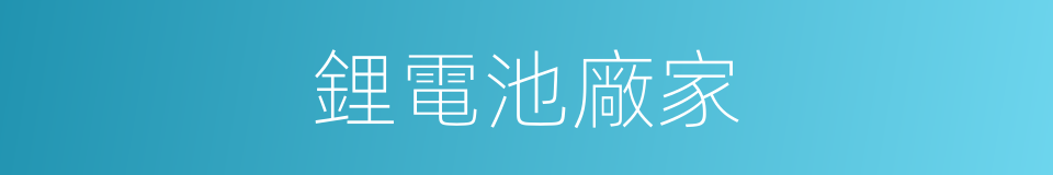 鋰電池廠家的同義詞