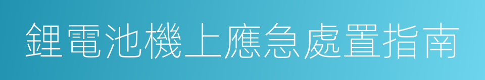 鋰電池機上應急處置指南的同義詞