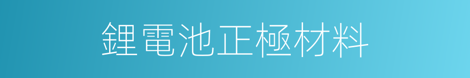 鋰電池正極材料的同義詞