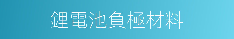 鋰電池負極材料的同義詞