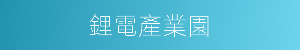 鋰電產業園的同義詞