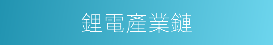 鋰電產業鏈的同義詞