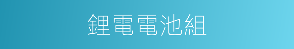 鋰電電池組的同義詞