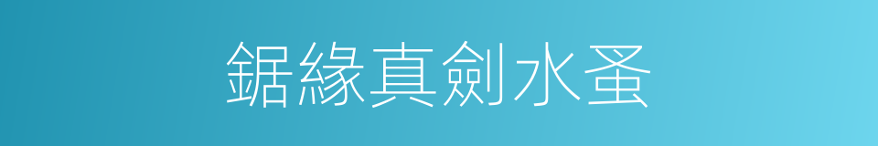 鋸緣真劍水蚤的同義詞
