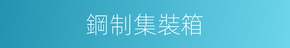 鋼制集裝箱的同義詞
