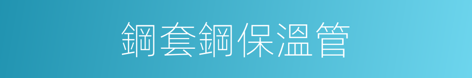 鋼套鋼保溫管的同義詞