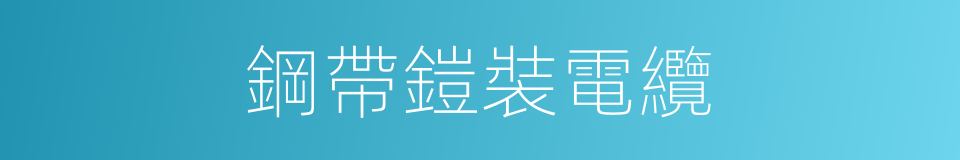鋼帶鎧裝電纜的同義詞