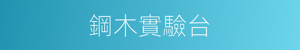 鋼木實驗台的同義詞