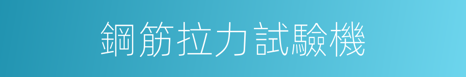 鋼筋拉力試驗機的同義詞