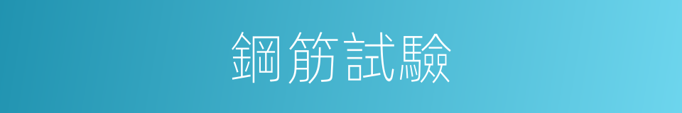 鋼筋試驗的同義詞