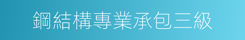 鋼結構專業承包三級的同義詞