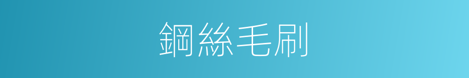 鋼絲毛刷的同義詞