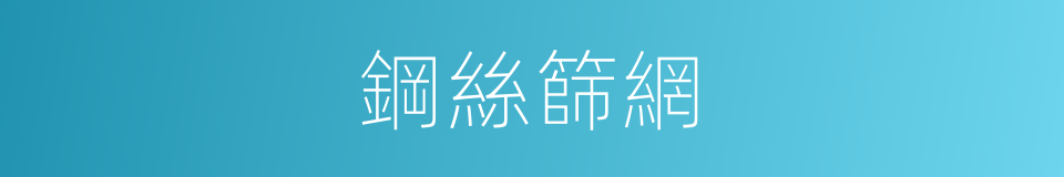 鋼絲篩網的同義詞