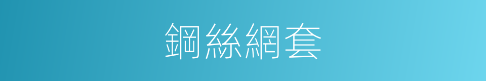 鋼絲網套的同義詞