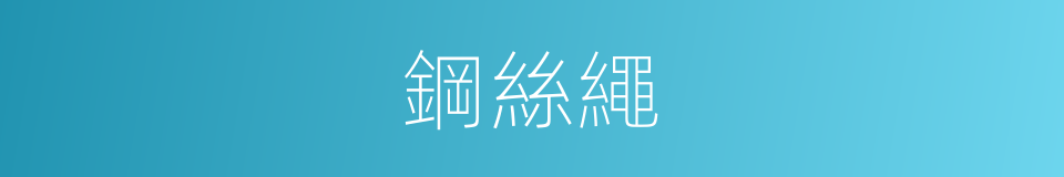 鋼絲繩的意思