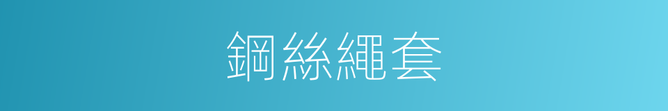 鋼絲繩套的同義詞