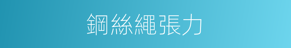 鋼絲繩張力的同義詞